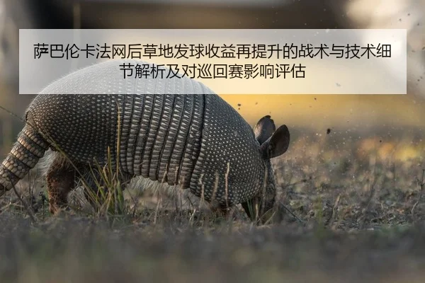 萨巴伦卡法网后草地发球收益再提升的战术与技术细节解析及对巡回赛影响评估